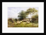 Changing Pastures by George Shalders