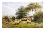 Changing Pastures by George Shalders
