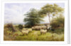 Changing Pastures by George Shalders