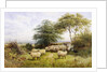 Changing Pastures by George Shalders