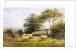 Changing Pastures by George Shalders