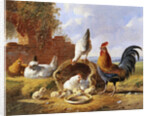 Spring Chickens by Albertus Verhoesen