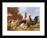 Spring Chickens by Albertus Verhoesen