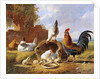 Spring Chickens by Albertus Verhoesen