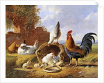 Spring Chickens by Albertus Verhoesen