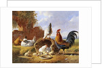 Spring Chickens by Albertus Verhoesen