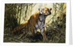 A Tiger with a Peacock by Wilhelm Kuhnert