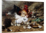 A Family of Chickens by Eugene Remy Maes