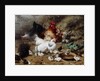 A Family of Chickens by Eugene Remy Maes