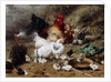 A Family of Chickens by Eugene Remy Maes