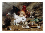 A Family of Chickens by Eugene Remy Maes