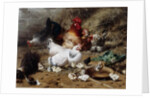 A Family of Chickens by Eugene Remy Maes