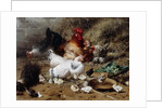 A Family of Chickens by Eugene Remy Maes