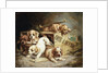 Tumbling Retriever Puppies by Frederico Olaria