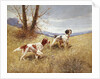 Pointers by Eugene Petit
