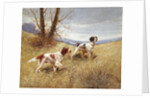 Pointers by Eugene Petit