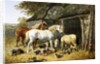 Farmland Friends by John Frederick Herring Jr