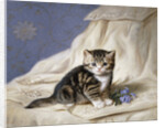 Forget-Me-Not by Horatio Henri Couldery