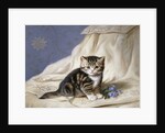 Forget-Me-Not by Horatio Henri Couldery