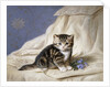 Forget-Me-Not by Horatio Henri Couldery