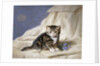 Forget-Me-Not by Horatio Henri Couldery