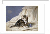 Forget-Me-Not by Horatio Henri Couldery
