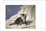 Forget-Me-Not by Horatio Henri Couldery