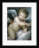 Cupid by William Hoare