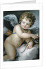 Cupid by William Hoare
