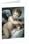 Cupid by William Hoare
