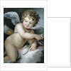 Cupid by William Hoare