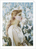 Lilies by Walter Crane