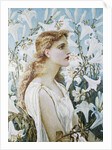 Lilies by Walter Crane