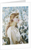 Lilies by Walter Crane