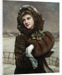 A Winter Beauty by Francois Martin-Kavel