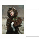 A Winter Beauty by Francois Martin-Kavel