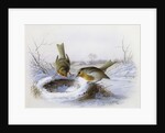 Last Year's Nest by Harry Bright