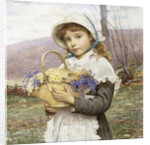 Spring Flowers by Edwin Bale
