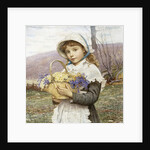 Spring Flowers by Edwin Bale