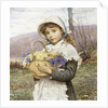 Spring Flowers by Edwin Bale
