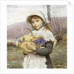Spring Flowers by Edwin Bale