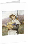 Spring Flowers by Edwin Bale