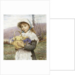 Spring Flowers by Edwin Bale