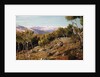 Maritime Alps and Valley of the Paglioni, near Nice, France by John Mulcaster Carrick