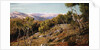 Maritime Alps and Valley of the Paglioni, near Nice, France by John Mulcaster Carrick