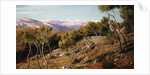 Maritime Alps and Valley of the Paglioni, near Nice, France by John Mulcaster Carrick