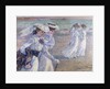 A Walk on the Beach by Theo van Rysselberghe