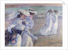 A Walk on the Beach by Theo van Rysselberghe
