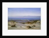 A Fine Day at the Coast by Henry Moore