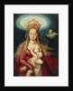 The Virgin as Queen of Heaven by Hans Baldung Grien